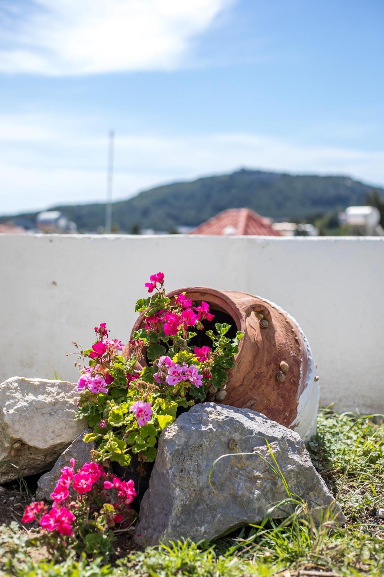 Sunny Villa Faliraki Luaran gambar